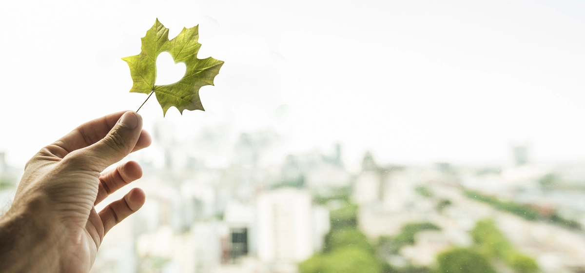 mega cevre hakkimzda top